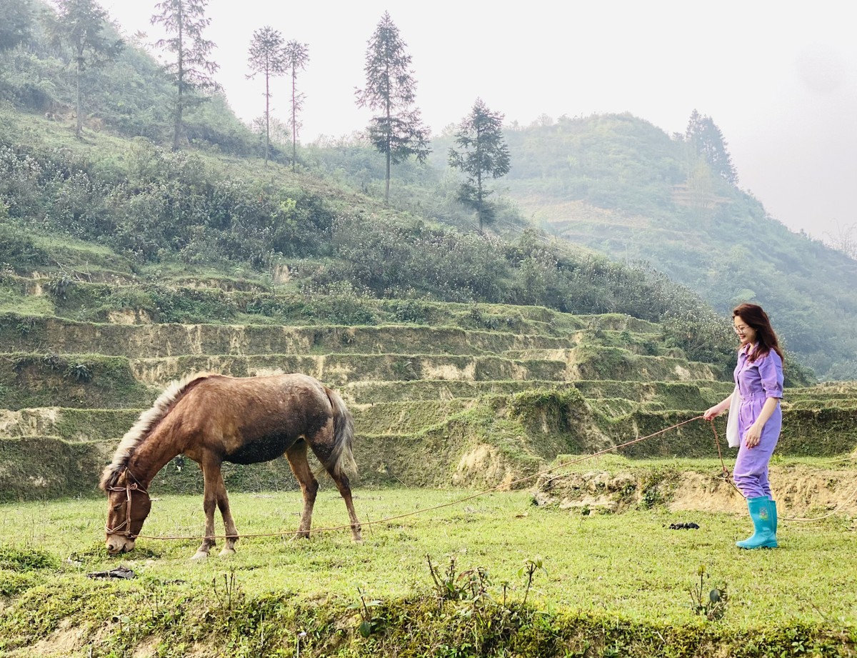 Thung lũng hoa giữa Lùng Phình (Bắc Hà) Thung lũng hoa giữa Lùng Phình (Bắc Hà)