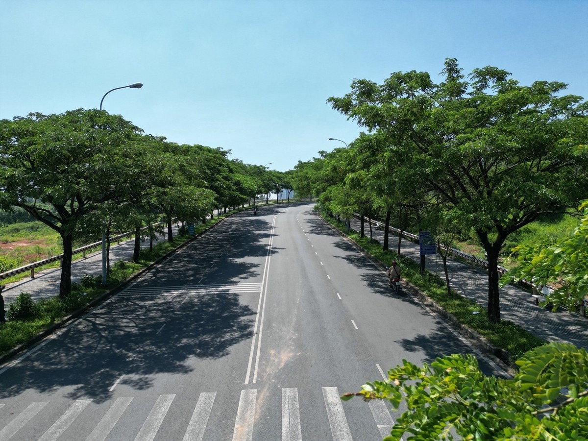 Những con đường trong khu Đại học Quốc gia TP.HCM cạnh Bcons City rợp bóng cây xanh. Những con đường trong khu Đại học Quốc gia TP.HCM cạnh Bcons City rợp bóng cây xanh.