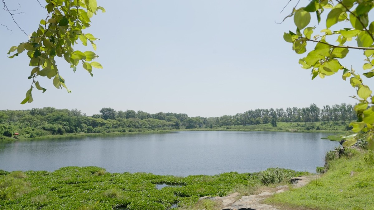 Một góc mảng xanh trong làng Đại học Quốc gia TP.HCM cạnh bên Bcons City. Một góc mảng xanh trong làng Đại học Quốc gia TP.HCM cạnh bên Bcons City.