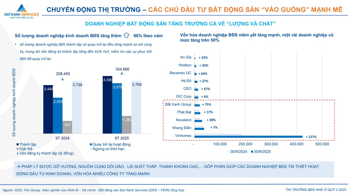 Số liệu thống kê số lượng doanh nghiệp kinh doanh bất động sản. (Nguồn: DXS - FERI)