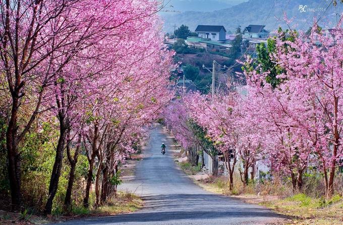 8 điểm đến đẹp nhất Việt Nam để du lịch vào tháng 1 ảnh 6 8 điểm đến đẹp nhất Việt Nam để du lịch vào tháng 1 ảnh 6