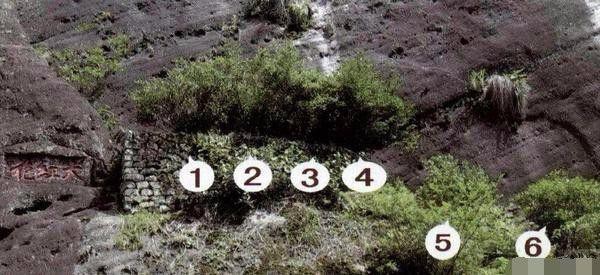 Loại trà đắt nhất thế giới, mỗi kg có giá tương đương một... tòa biệt thự ảnh 1