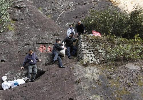 Loại trà đắt nhất thế giới, mỗi kg có giá tương đương một... tòa biệt thự ảnh 2