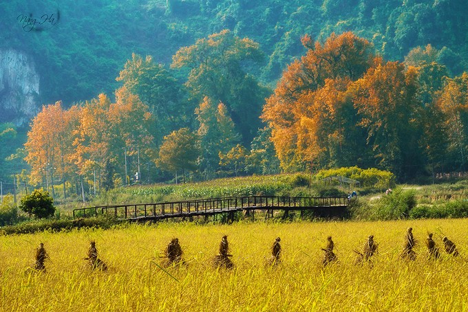 5 'tuyệt tình cốc' được giới trẻ check-in nhiều ở Việt Nam ảnh 2