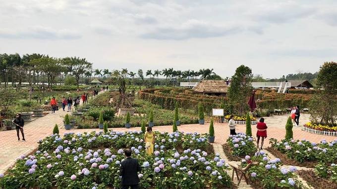 Mê cung bằng cây rộng 10.000 m2 ở ngoại thành Hà Nội ảnh 10