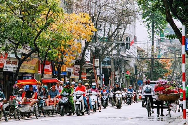 Mùa cây thay lá, Hà Nội đẹp mê hồn khiến bao người đắm say ảnh 5 Mùa cây thay lá, Hà Nội đẹp mê hồn khiến bao người đắm say ảnh 5