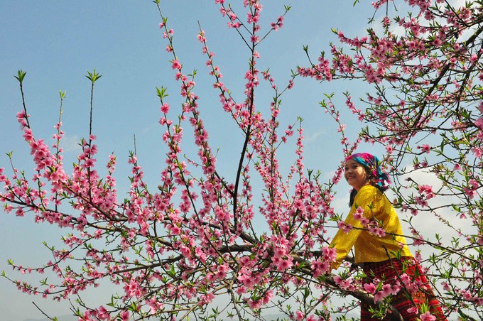 Ngôi làng trăm tuổi bị lãng quên ở Đồng Văn ảnh 7