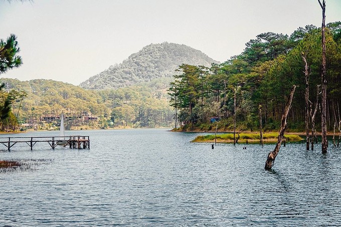 3 điểm đến mới nổi được nhiều bạn trẻ check-in ở Đà Lạt ảnh 7