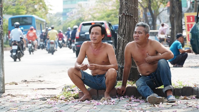 Hàng trăm cây hoa kèn hồng nở rộ giữa trung tâm Sài Gòn ảnh 6