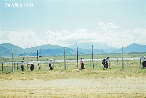Ảnh Đà Nẵng hơn 60 năm trước qua góc máy của người Mỹ ảnh 6