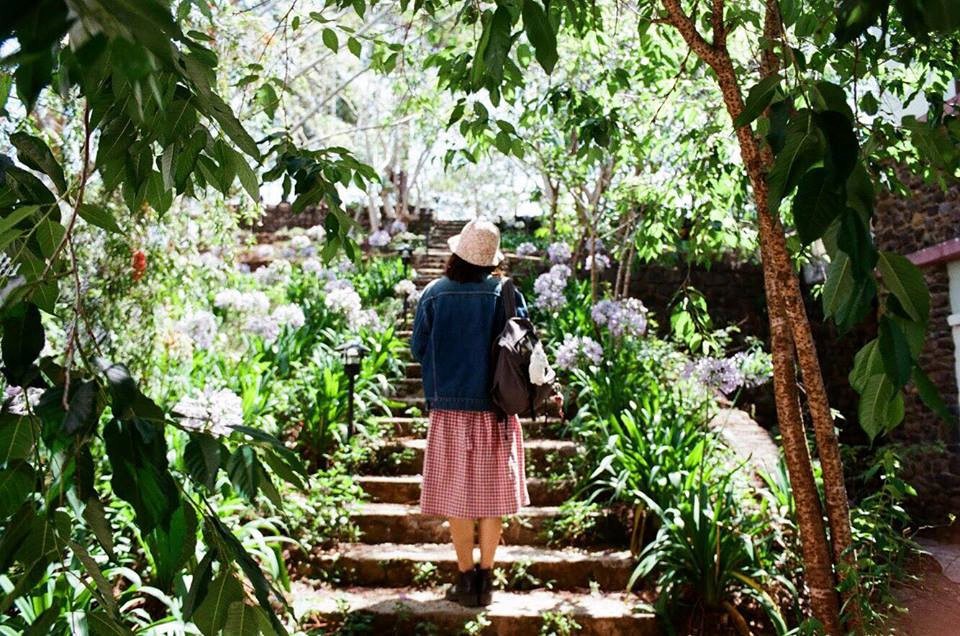4 homestay xanh mướt, yên tĩnh và đầy góc 'sống ảo' tại Đà Lạt ảnh 14