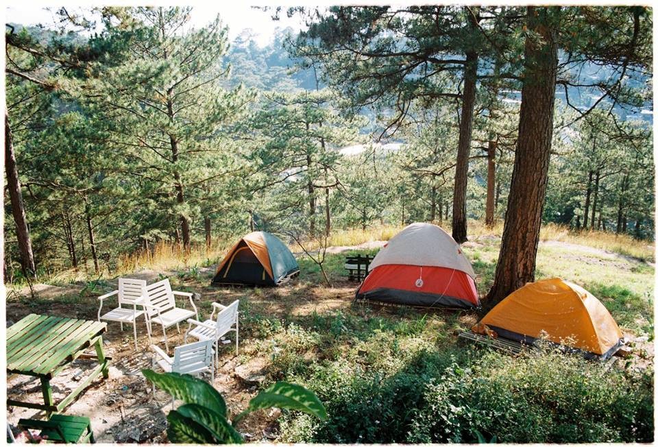 4 homestay xanh mướt, yên tĩnh và đầy góc 'sống ảo' tại Đà Lạt ảnh 15