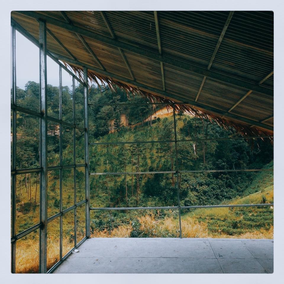 4 homestay xanh mướt, yên tĩnh và đầy góc 'sống ảo' tại Đà Lạt ảnh 2