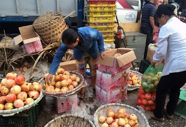 Trung Quốc phá giá Nhân dân tệ, hậu quả đầu tiên dồn xuống Việt Nam ảnh 1 Trung Quốc phá giá Nhân dân tệ, hậu quả đầu tiên dồn xuống Việt Nam ảnh 1
