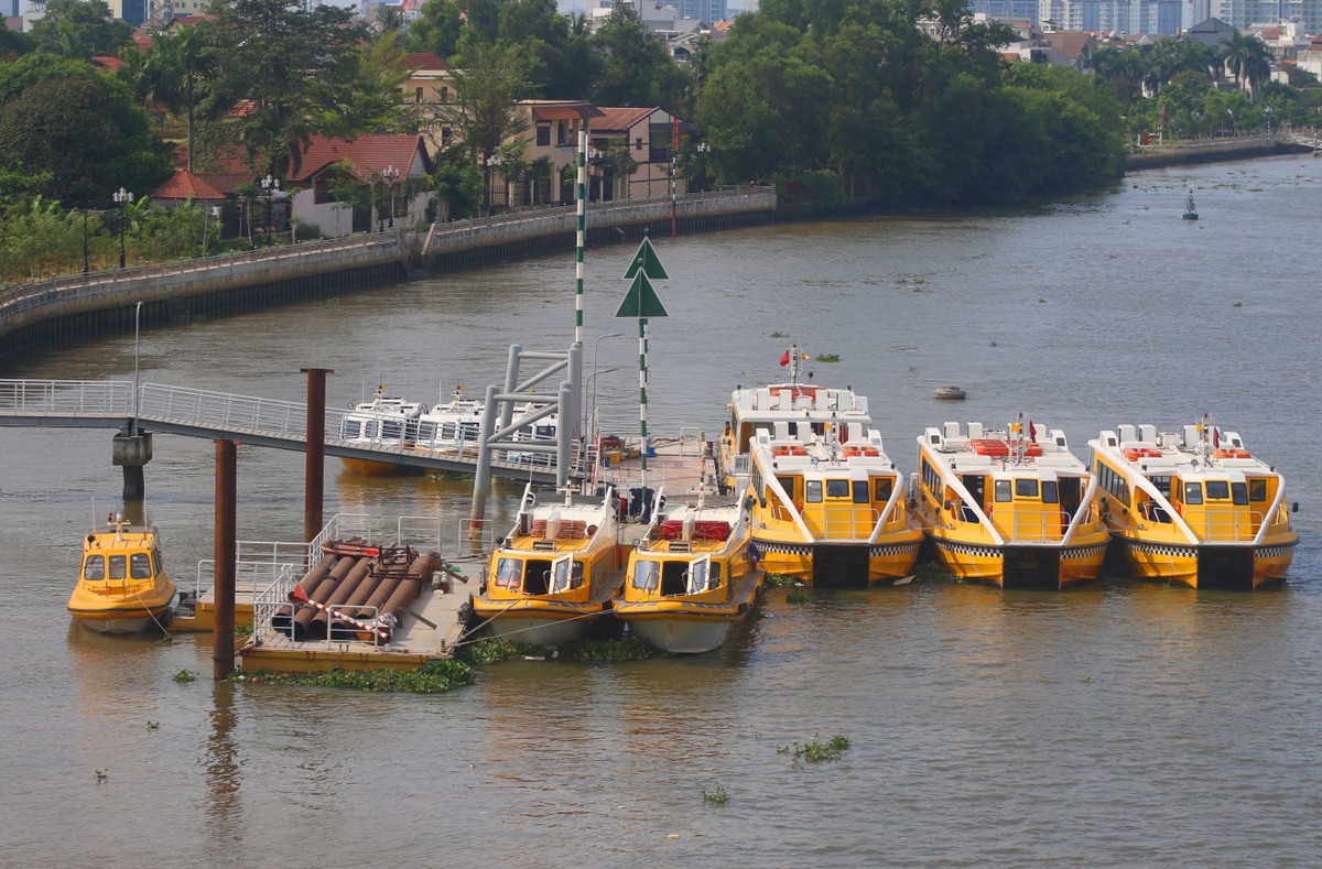 TP.HCM: Máy báy, xe khách và buýt sông xếp hàng dài do ảnh hưởng Covid-19  ảnh 7