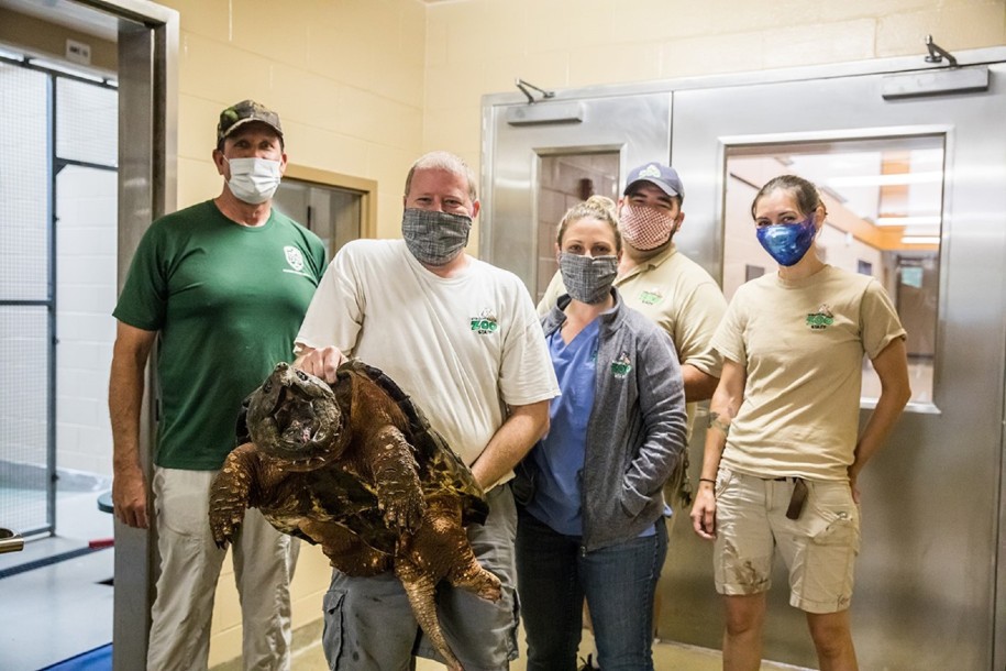 Bé rùa Yidaro được các nhà khoa học chăm sóc.