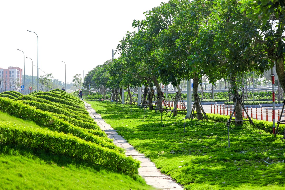 Đội ngũ cán bộ nhân viên cây xanh thường xuyên chăm sóc kỹ lưỡng, để duy trì những mảng xanh quý giá, trong lành cho sân bay. Không chỉ chú trọng cảnh quan cây xanh bên ngoài, đội ngũ kiến trúc sư Singapore cũng mang màu xanh vào ngay trong nhà ga với hồ cá Koi bắt mắt ngay sảnh ga đến hay vườn treo sinh thái tại tầng 2 nhà ga.