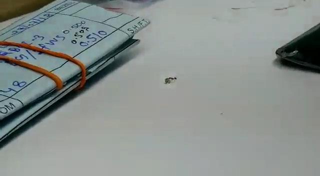 Mặc dù nhỏ hơn nhưng con kiến vẫn có thể đẩy viên kim cương một cách dễ dàng.