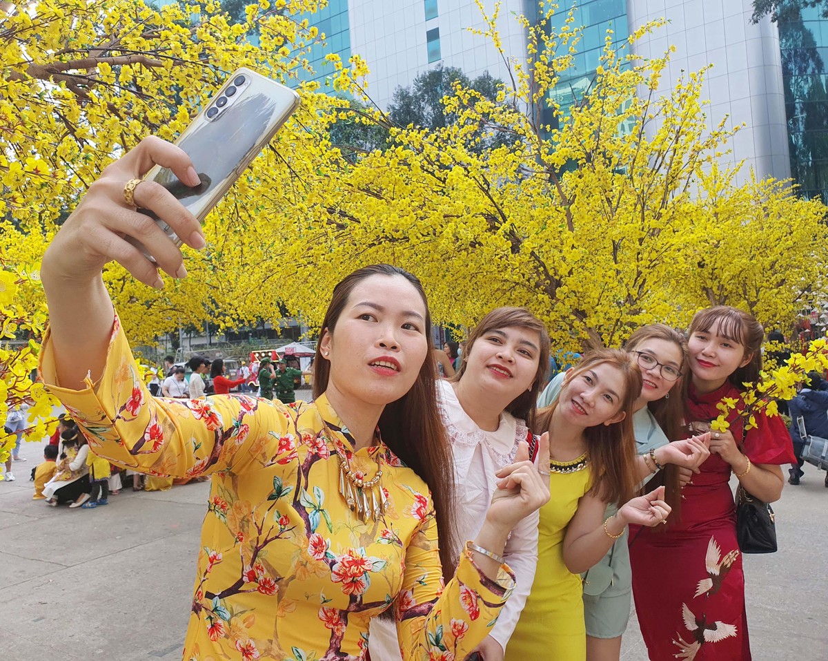 Chech in bên đường mai vô cực. Chech in bên đường mai vô cực.