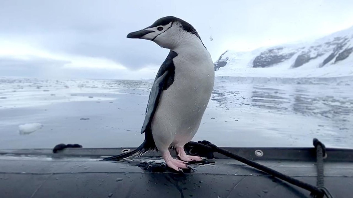 Tự tin khoe vóc dáng. Tự tin khoe vóc dáng.