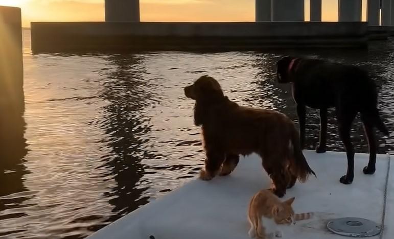 Đã là người trong một nhà thì đi đâu cũng có nhau. Đã là người trong một nhà thì đi đâu cũng có nhau.