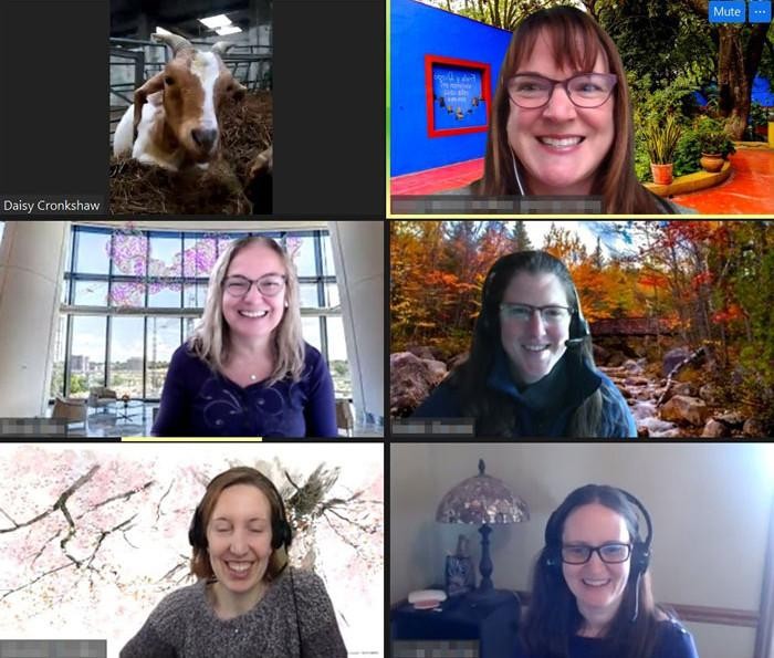 Niềm vui của mọi người khi chào đón một chú dê trong phòng họp của mình. Niềm vui của mọi người khi chào đón một chú dê trong phòng họp của mình.