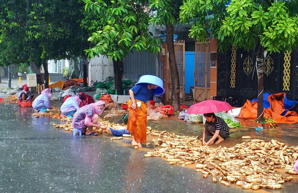 Khoảnh khắc nhóm của Gaveau Patrick làm việc dưới mưa để người dân ở các vùng phong tỏa không bị thiếu rau, củ.