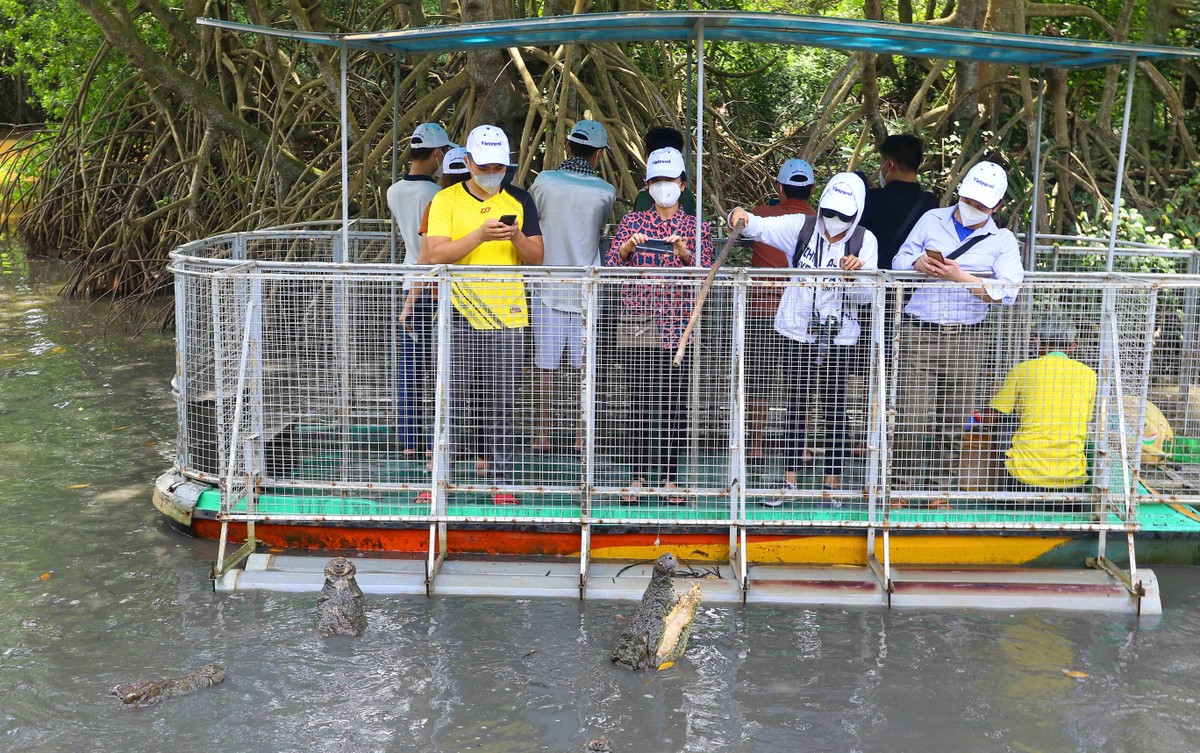 Một trong những hoạt động thú vị tại Cần Gio là câu cá sấu hoa cà.