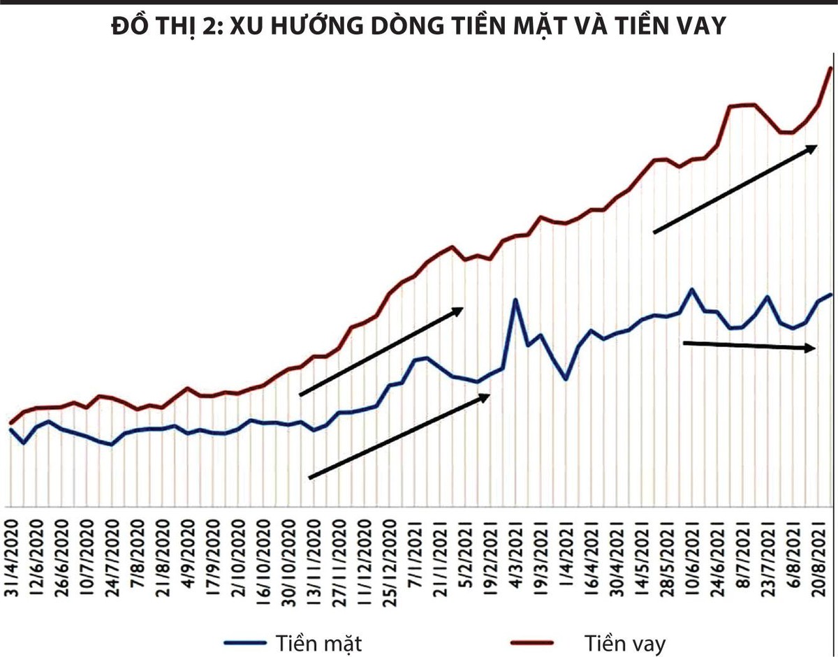 Đồ thị 2: Xu hướng dòng tiền mặt và tiền vay.