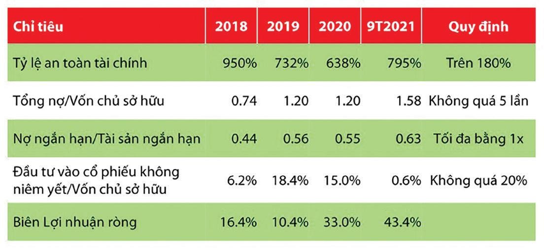 Một số chỉ tiêu kinh doanh của Rồng Việt giai đoạn 2018-2021.
