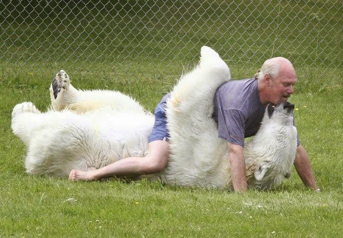 Thoải mái nô đùa bên cạnh con gấu to gấp 3 lần người mình.