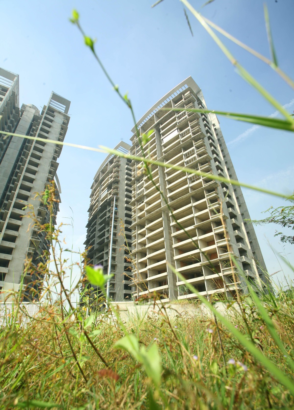 Cũng vào năm 2005, cỏ mọc bao phủ dự án. Cũng vào năm 2005, cỏ mọc bao phủ dự án.