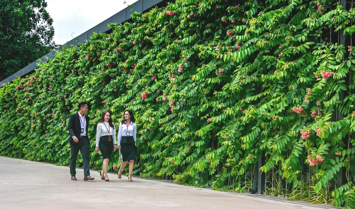 VPS đã vượt qua các tiêu chí đánh giá gắt gao của The Asset và nhận được giải thưởng một cách xứng đáng.