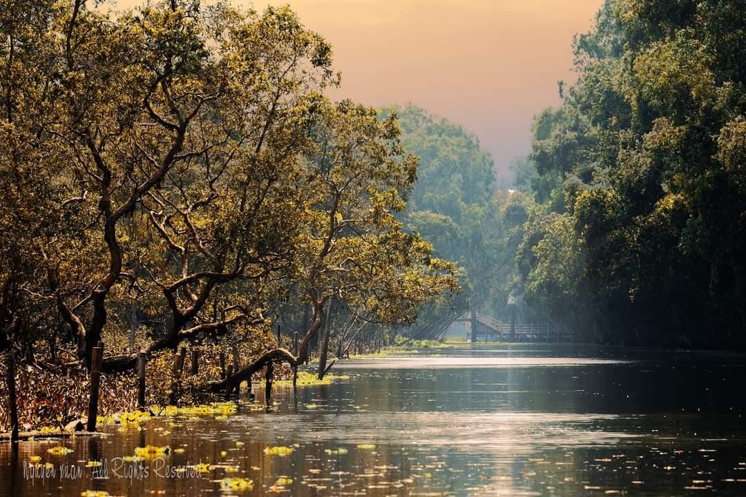 Trà Sư đẹp nên thơ trong ánh hoàng hôn. Trà Sư đẹp nên thơ trong ánh hoàng hôn.
