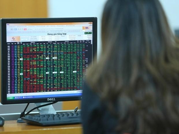 Ảnh minh họa. (Nguồn: TTXVN).