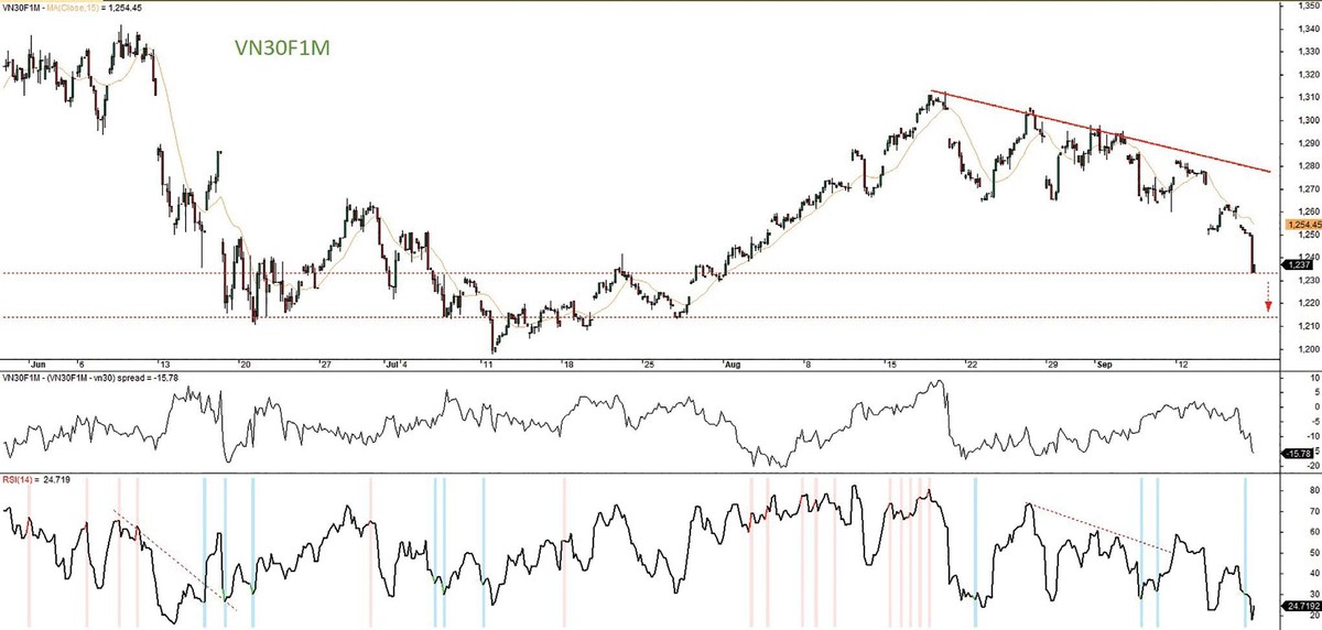 Đồ thị kỹ thuật hợp đồng VN30F1M.