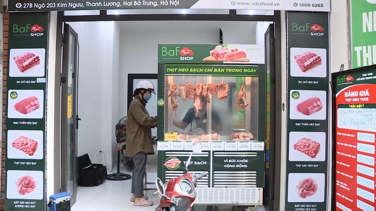 Trong bán kính 3 km kể từ mỗi Siba Food sẽ có khoảng 10 đến 12 quầy thịt chất lượng cao Meat Shop.