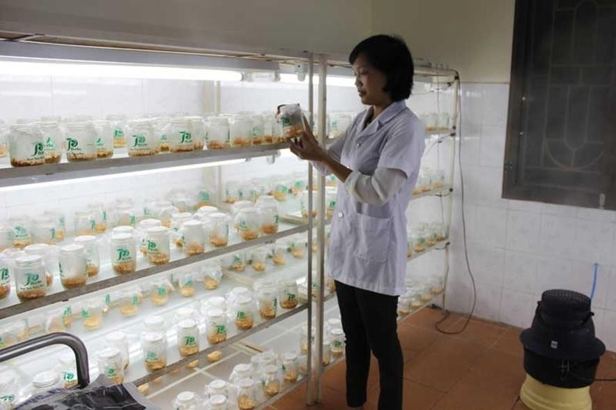 Khoa học công nghệ giúp nhà nông làm giàu trên đồng ruộng. Khoa học công nghệ giúp nhà nông làm giàu trên đồng ruộng.