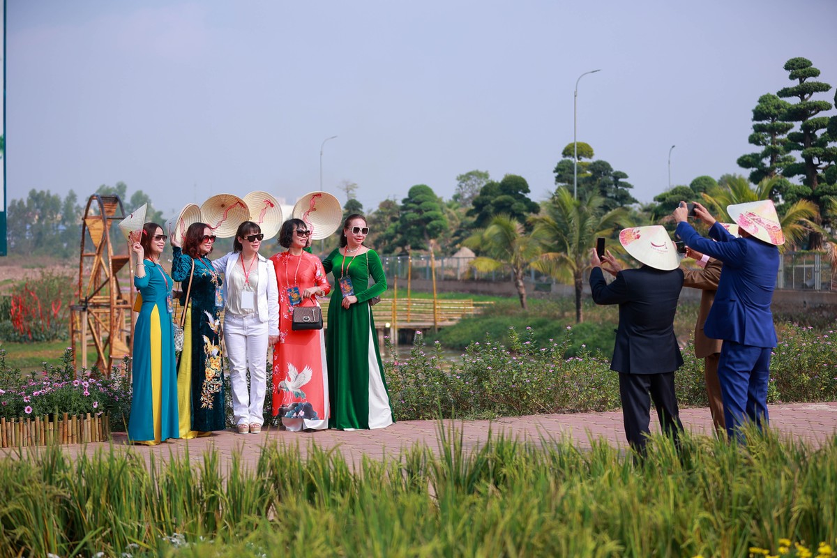 Khai mạc từ ngày 13/1, đường hoa Home Hanoi Xuan 2023 đã trở thành một địa điểm du xuân thú vị, thu hút người dân thủ đô đến tham quan và trải nghiệm.