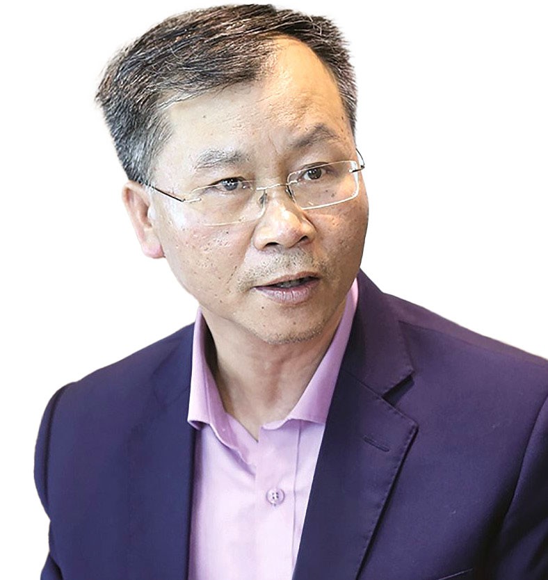 TS. Vũ Đình Ánh, Chuyên gia kinh tế