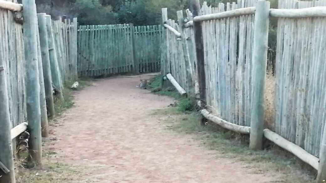 Nơi con báo trốn Nơi con báo trốn