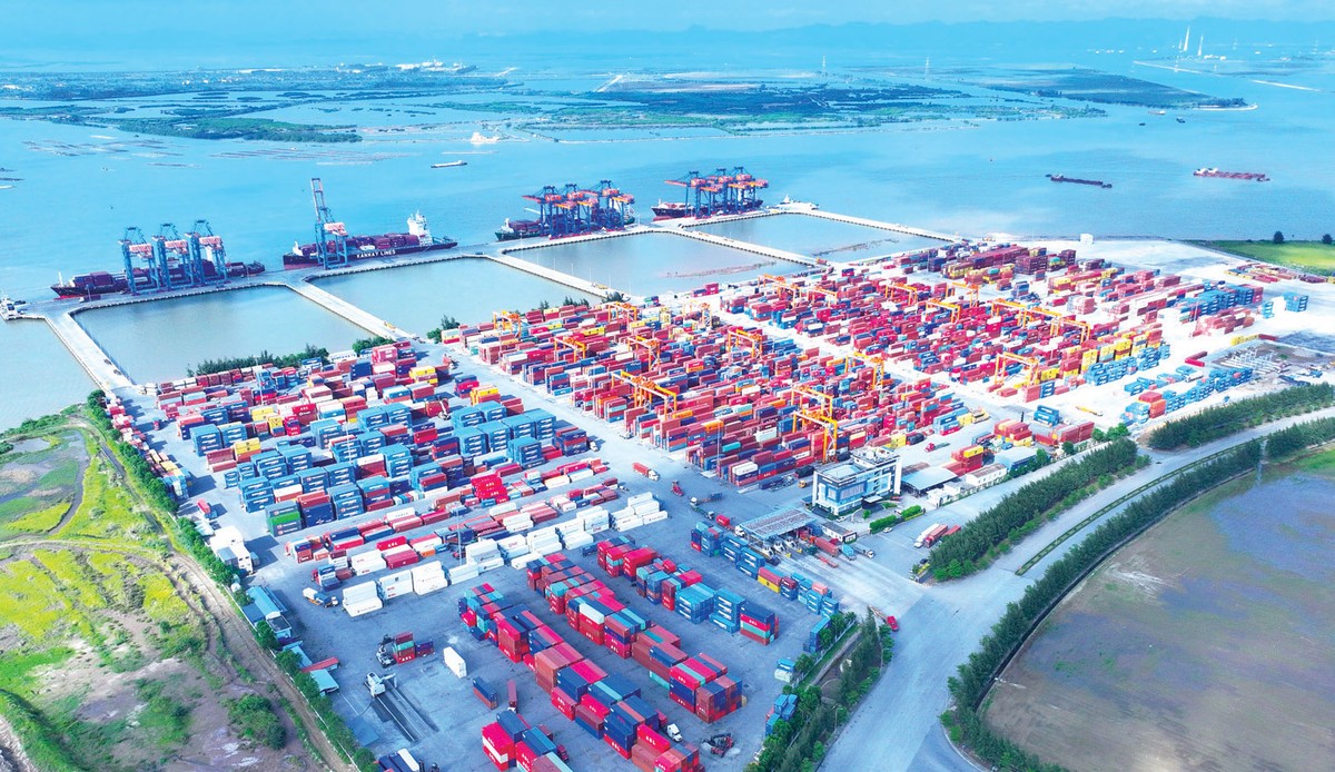 Trung bình mỗi tuần có 18 chuyến tàu ra vào Cảng Nam Đình Vũ, thuộc hệ thống Cảng của Gemadept tại Hải Phòng. Trung bình mỗi tuần có 18 chuyến tàu ra vào Cảng Nam Đình Vũ, thuộc hệ thống Cảng của Gemadept tại Hải Phòng.