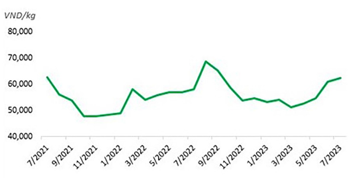 Diễn biến giá thịt lợn bình quân trong 2 năm qua. Diễn biến giá thịt lợn bình quân trong 2 năm qua.