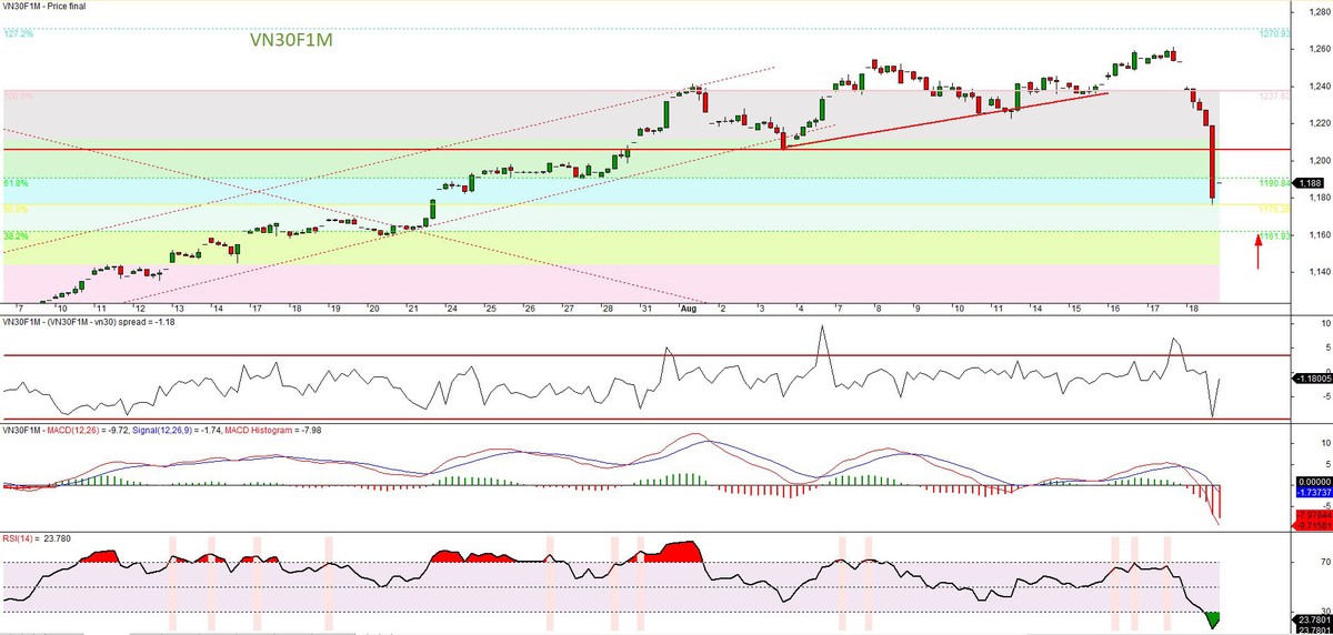 Đồ thị kỹ thuật hợp đồng VN30F1M.
