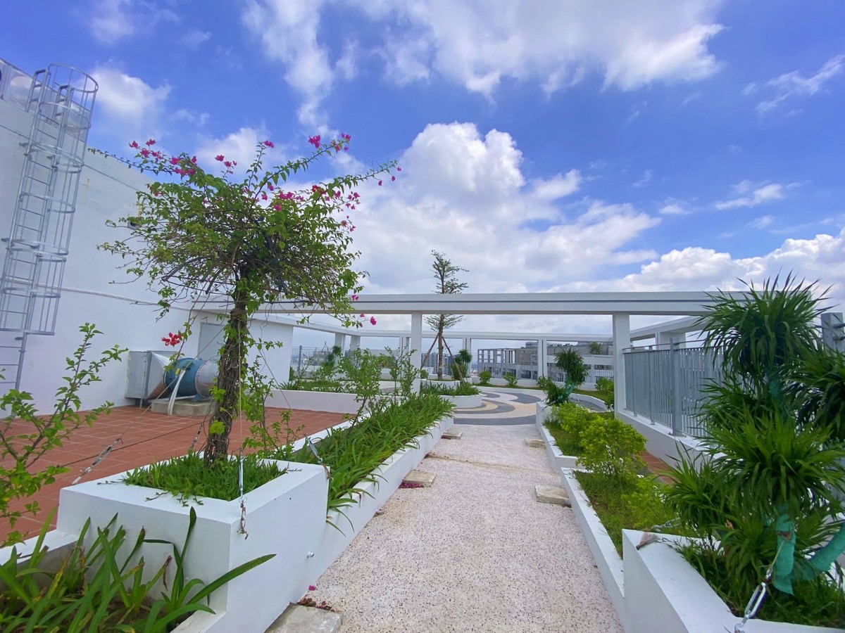 Cây xanh trên tầng mái dự án Feliz Homes đang mỗi ngày thêm tươi tốt. Cây xanh trên tầng mái dự án Feliz Homes đang mỗi ngày thêm tươi tốt.