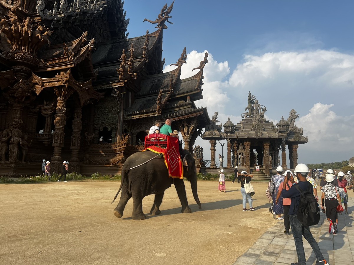 Ngoài việc tham quan và ngắm nhìn các tác phẩm nghệ thuật gỗ, du khách còn có thể tham gia các hoạt động ngoài lề khác như cưỡi voi, cưỡi ngựa, tham gia các lớp học về điêu khắc gỗ, thưởng thức nhạc cụ truyền thống... ở đây.