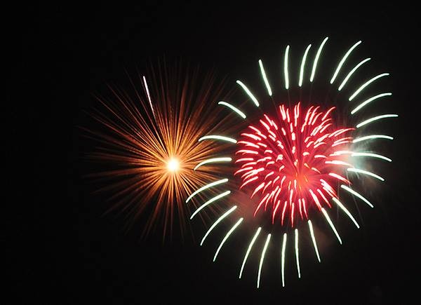 12695903-949756355059692-13919-1571-8954