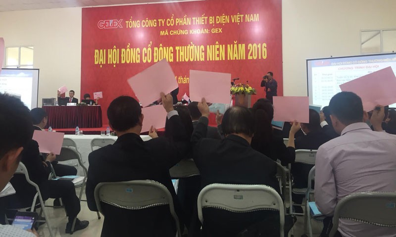 ĐHCĐ Gelex - GEX: Chốt xong nhân sự HĐQT ảnh 4 ĐHCĐ Gelex - GEX: Chốt xong nhân sự HĐQT ảnh 4
