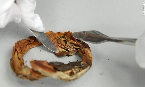 kho-bau-giau-duoi-day-coc-hon-70-nam-1