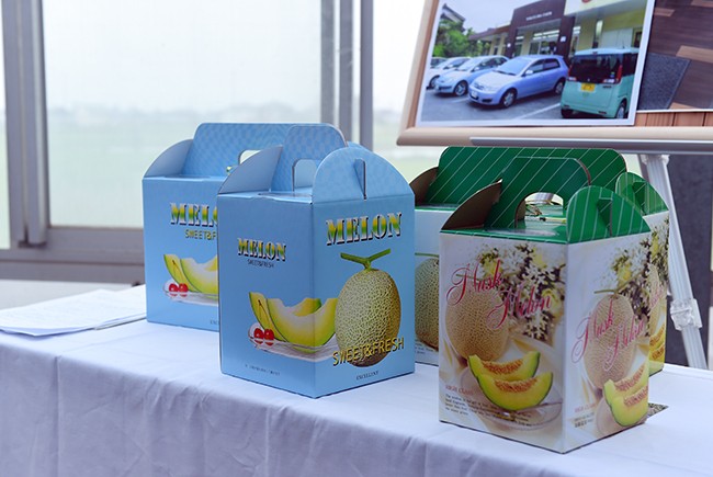 Dưa lưới chất lượng cao được đóng trong các hộp giấy để đưa ra thị trường